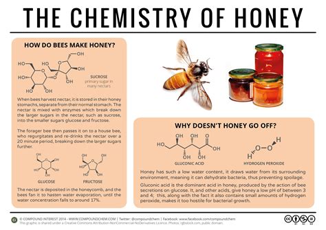 Decoding Honey's Sweet Spell: The Chemistry of Syrupy Delight